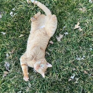 Meet your Posher, Daniel